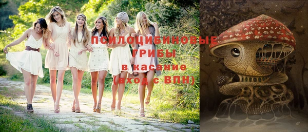 apvp Армянск