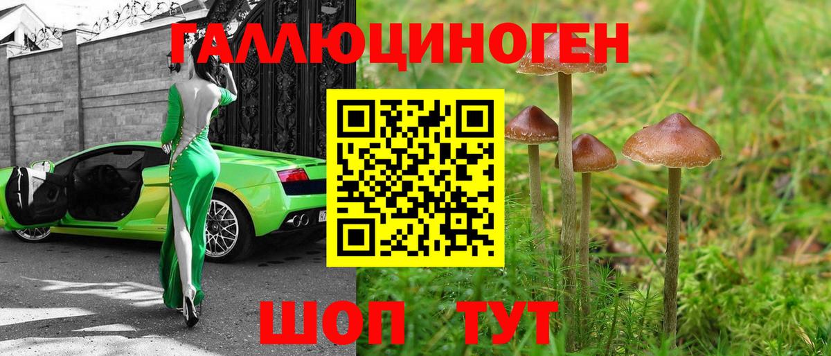 Галлюциногенные грибы Cubensis  Вход с VPN  Новозыбков 