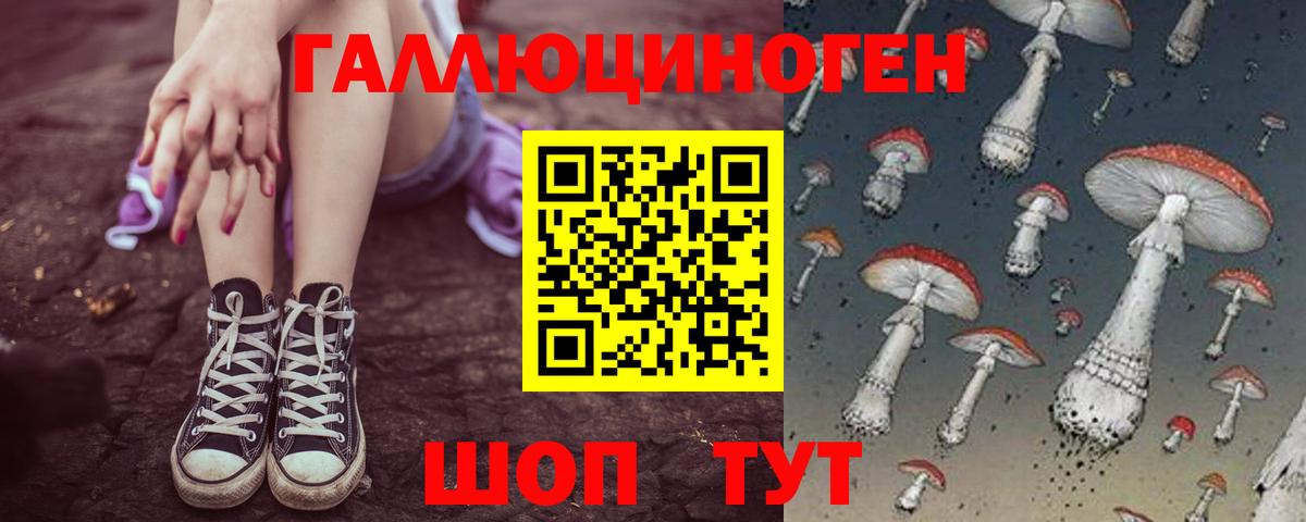 Галлюциногенные грибы мухоморы Новозыбков